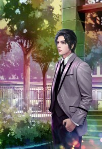 陸少的暖婚新妻
