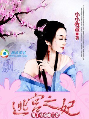 甩了皇帝嫁王爺：逃宮之妃