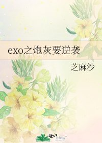 exo之炮灰要逆袭