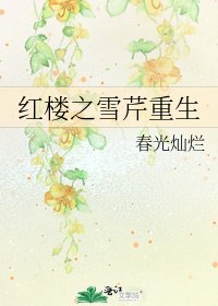 紅樓之雪芹重生